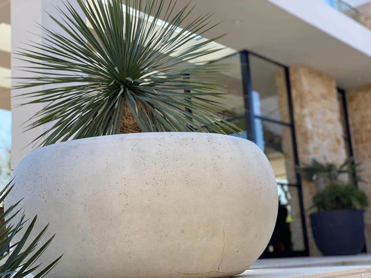 おしゃれな植木鉢の特徴とは?どんな素材・形が人気?